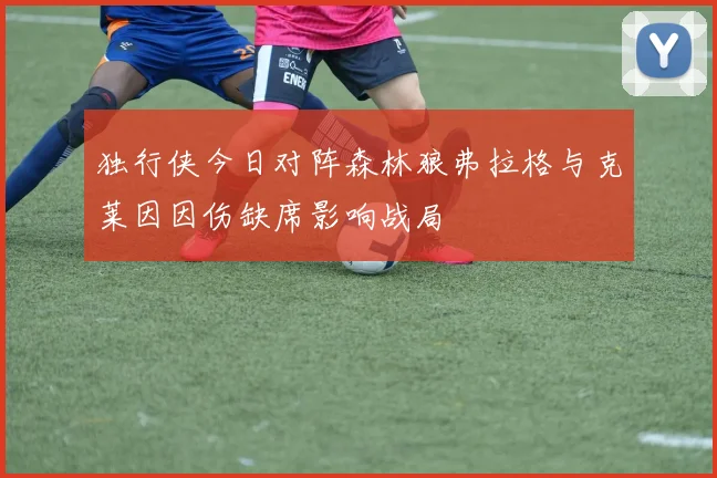 独行侠今日对阵森林狼弗拉格与克莱因因伤缺席影响战局